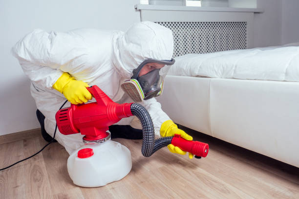 Reliable Henderson, KY Pest Control Solutions