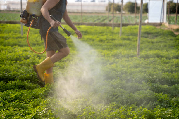 Reliable Henderson, KY Pest Control Solutions