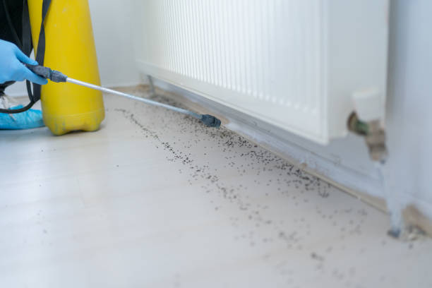 Best Pest Removal Services  in Henderson, KY